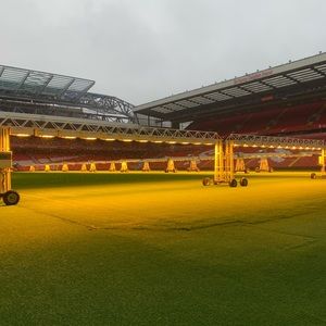 Meet your Posher, Logan